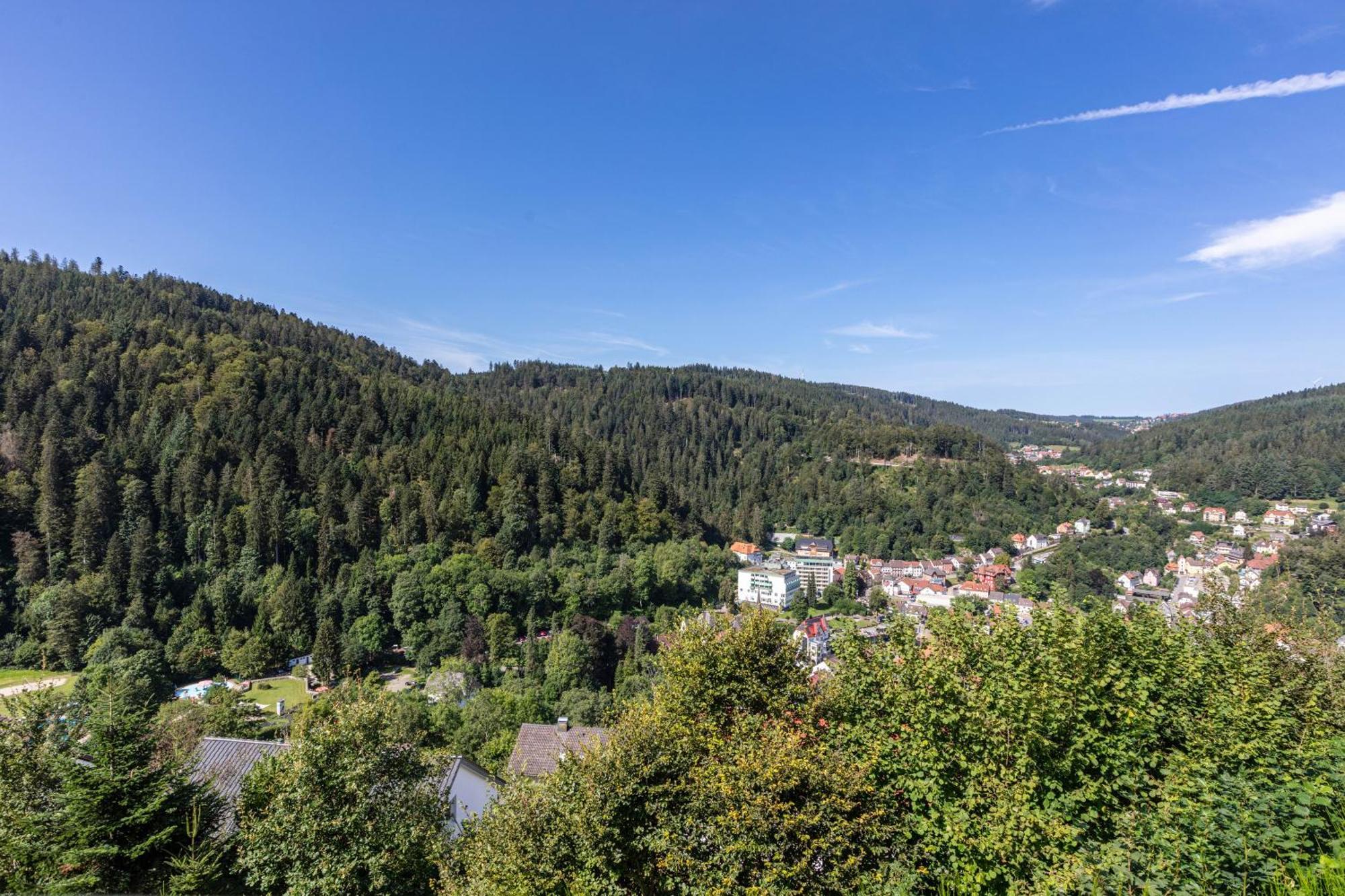トリベルクTriberg Blickアパートメント エクステリア 写真